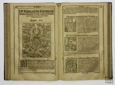Diadochos 1602