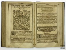 Diadochos 1602