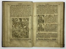 Diadochos 1602