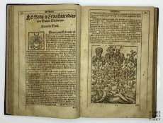 Diadochos 1602