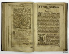 Diadochos 1602