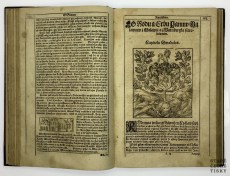 Diadochos 1602