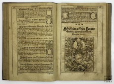 Diadochos 1602