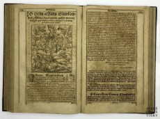 Diadochos 1602