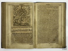 Diadochos 1602