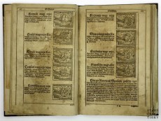 Diadochos 1602