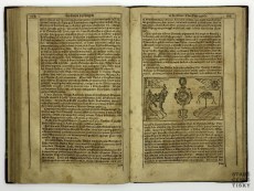 Diadochos 1602