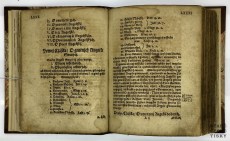 Theatrum Divinum to jest Divadlo Boží 1616